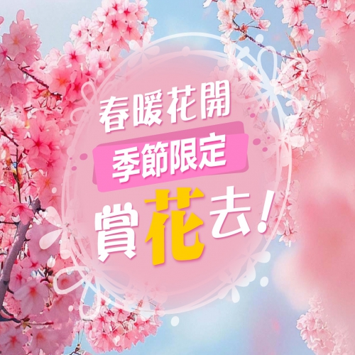 春暖花開 賞花正當時！