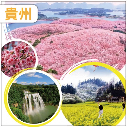 【纯玩.貴州賞花季】春天打卡勝地 平壩萬畝櫻花園 金海雪山油菜花 李子花 黃果樹瀑布 動車5天
