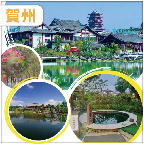 長壽密碼 連住兩晚網評5鑽蘇派建築風格園博園溫泉山莊 茶是故鄉濃拍攝地 賀州純玩跨省巴士3天