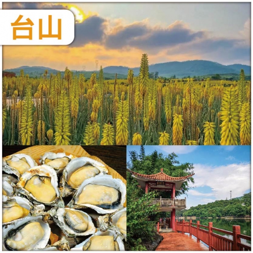 江門 每圍臺100只正宗臺山生蠔  大陸唯一 觀賞蘆薈花海處 純玩2天