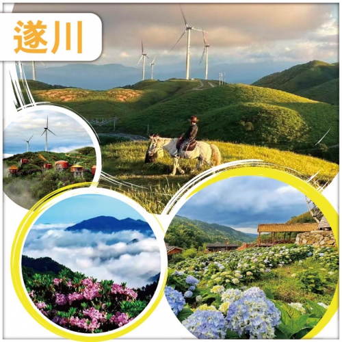 南方草原 江南天池【萬洋山】重本包門票 風車雲海 全球十大最美梯田【桃源梯田】賞繡球花海 純玩4天