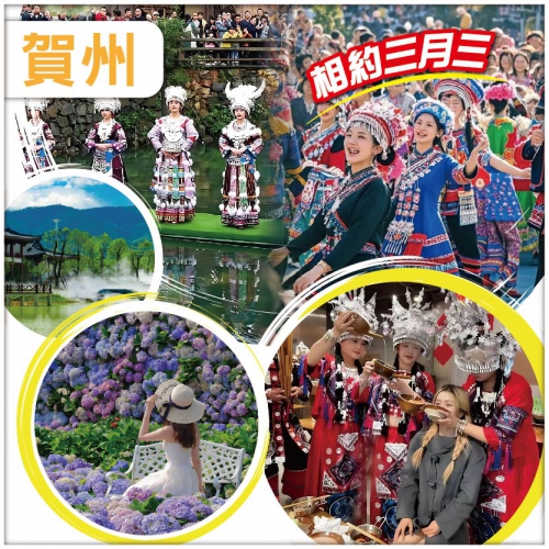 廣西 壯族三月三民俗盛宴 對山歌 賞繡球花 高山流水表演 連住兩晚賀州維也納酒店 巴士純玩3天
