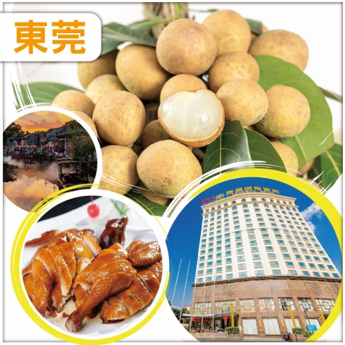 東莞 任摘任食龍眼 網評四鉆-全新裝修【常平翔盈國際酒店】KTV歡唱/麻將任打 純玩2天