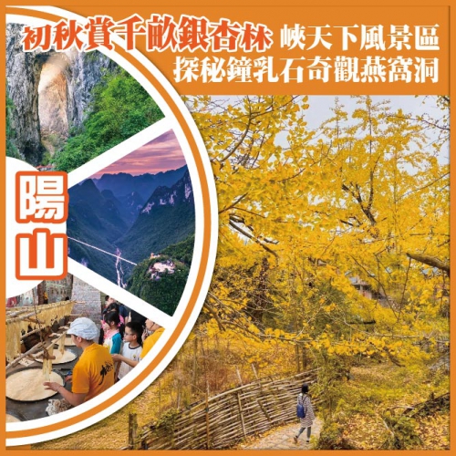 清遠 陽山初秋賞千畝銀杏林 峽天下風景區 探秘鐘乳石奇觀燕窩洞  純玩3天