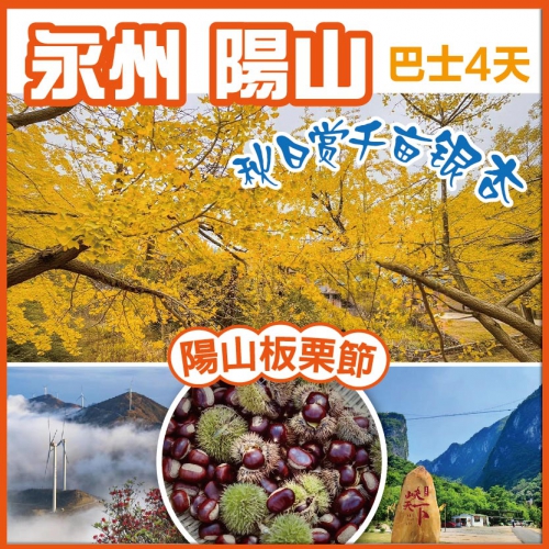 陽山板栗節 初秋賞千畝銀杏 雲冰山風車雲海 峽天下風景區 探秘鐘乳石奇觀燕窩洞 巴士純玩4天