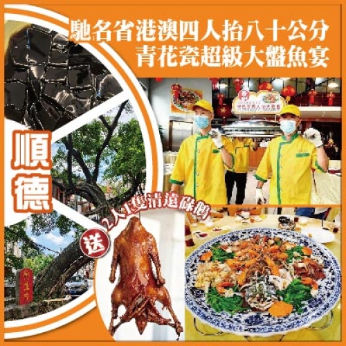 順德 又食又拎 馳名省港澳 四人抬八十公分青花瓷超級大盤魚宴  2人1隻清遠碌鵝  抵玩1天