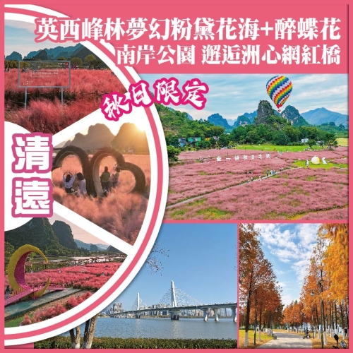 清遠 秋日限定 英西峰林夢幻粉黛花海+醉蝶花 清遠版 小洱海 南岸公園 邂逅洲心網紅橋 純玩2天